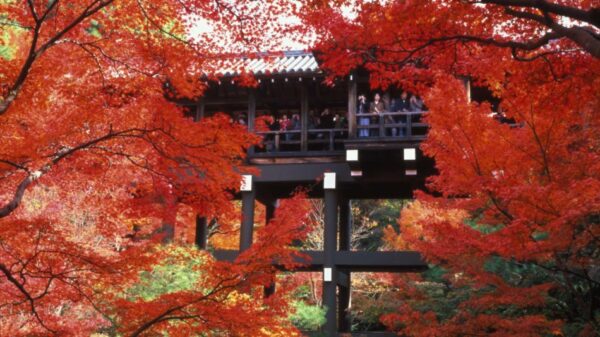 UKY – JP-japan-kyoto-fall-color